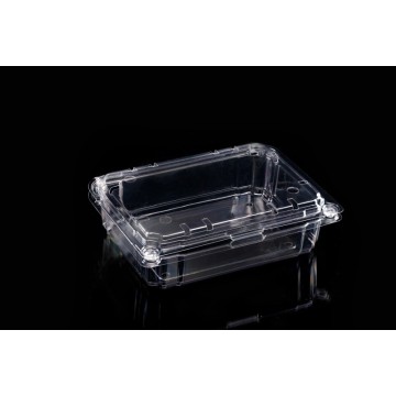 WW752 16oz Vegetables Clamshell