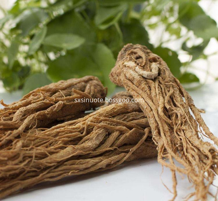 Chinese Angelica Root Extract