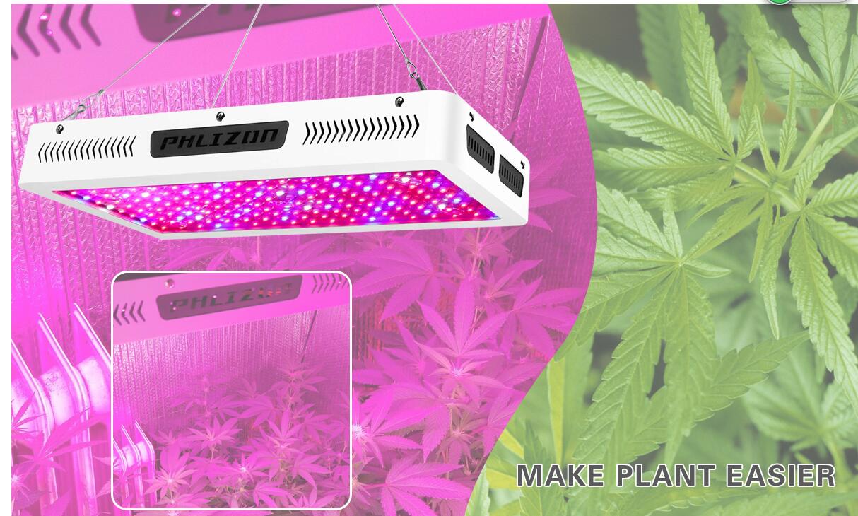 Best LED Grow Lights