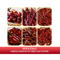 https://www.bossgoo.com/product-detail/red-dried-chili-wholesale-100-organic-63252970.html
