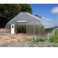 High Agricultural poly tunnel Green House tomato greenhouse