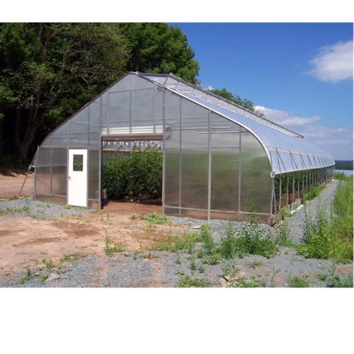 Material Frame single-span arch tunnel greenhouse Manufacturers and Material Frame single-span arch tunnel greenhouse Suppliers