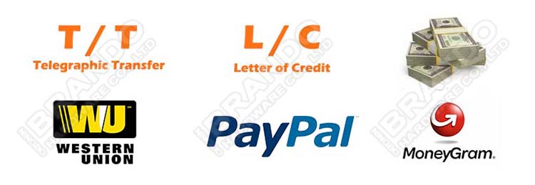pay1