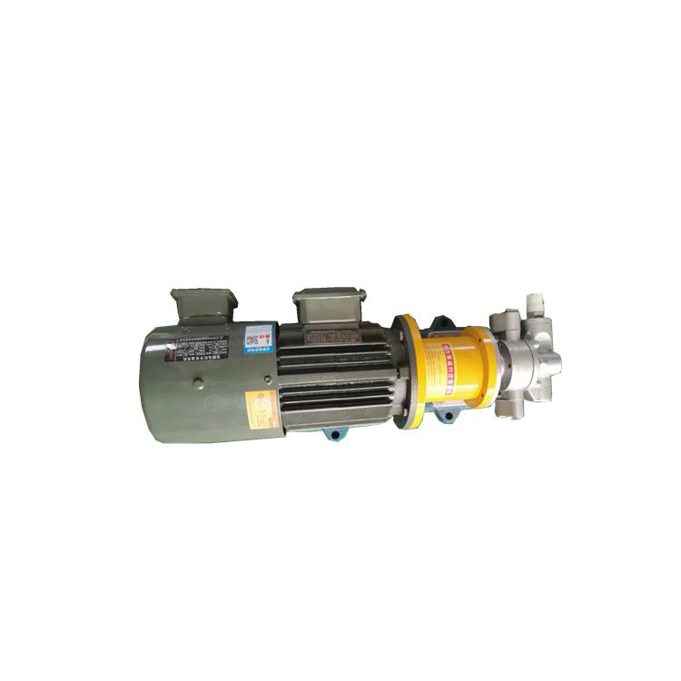 Stainless Steel Gear Pump Magnetic Pump Leak Free Gear Pump1