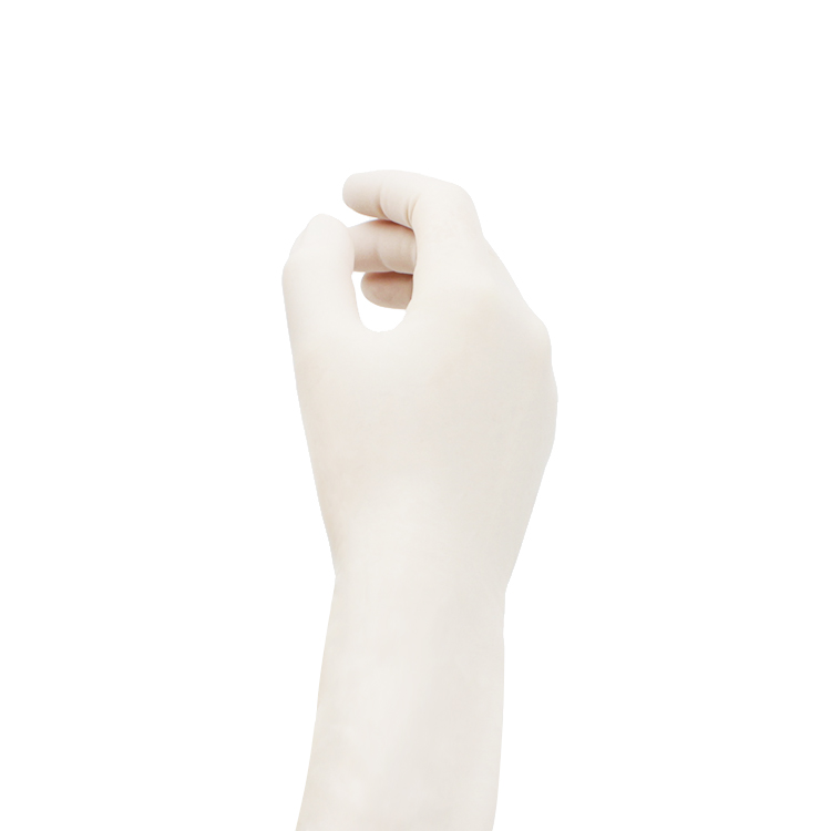 Surgical Gloves 01