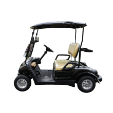 battery or gas powered two seater golf car