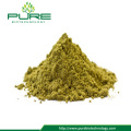 High Quality Hemp Seed Powder