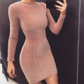 Pink Velvet Long Sleeve Slim Dress Ladies Warme sexy Figur Autumn Fashion New Women Dresses