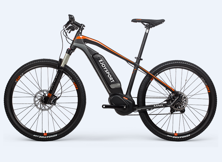 Batterie Ebike
