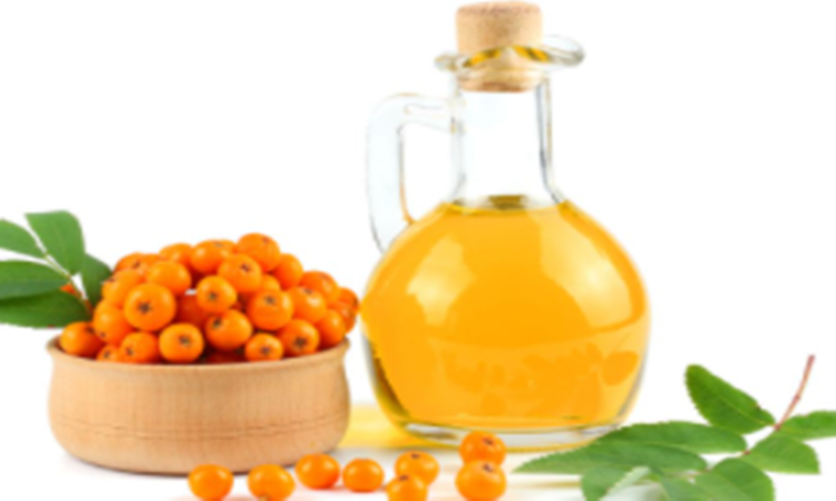 Sea buckthorn fruit oil 1
