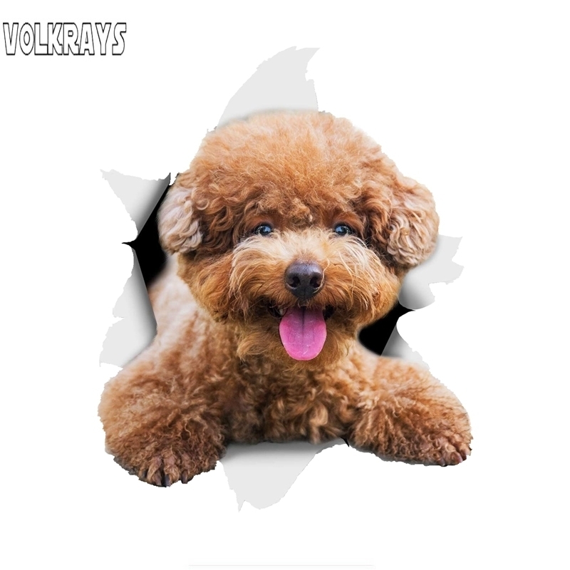 Volkrays 3D Smiling Brown Poodle Dog Car Sticker for AutoWa Ll Toilet Kid's Room Luggage Skateboard Laptop Decal PVC,15cm*15cm