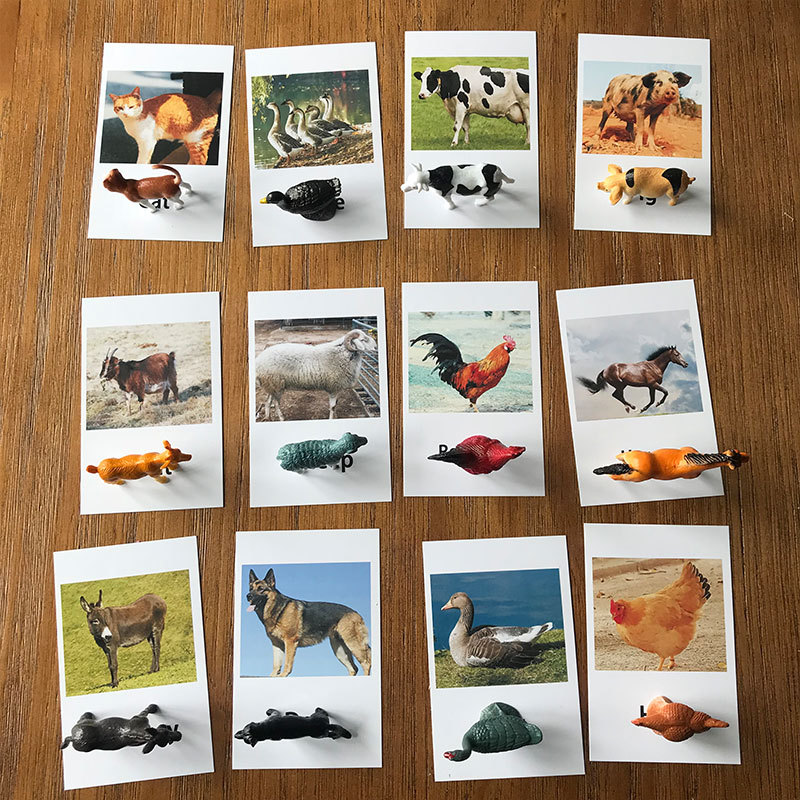 24pcs Montessori Toys Animal Match Cards Matching Game Montessori Preschool Educational Language Learning Poultry Models Kid Toy