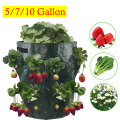 Strawberry Plant Growing Bag Tomato Grow Planting Root Bonsai Plant Pot Multi-mouth Container Bags 5/7/10 Gallons