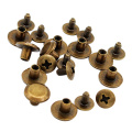 10Pcs Gold Tone Binding Chicago Screws Nail Rivets Studs For DIY Art Crafts Belt Strap Fastener Screwback 10 X 5mm