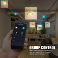 WiFi Smart Bulbs Siri Voice Control Alexa Google Assistant LED Smart Light Bulb equivalent Indoor Lighting Neon Changing Lamp