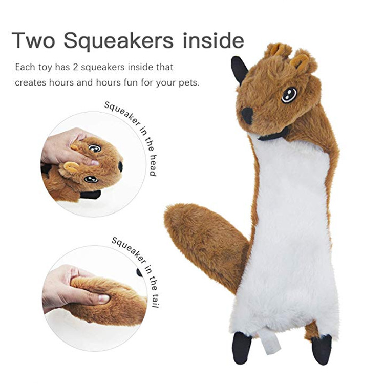 Squrral Jpg
