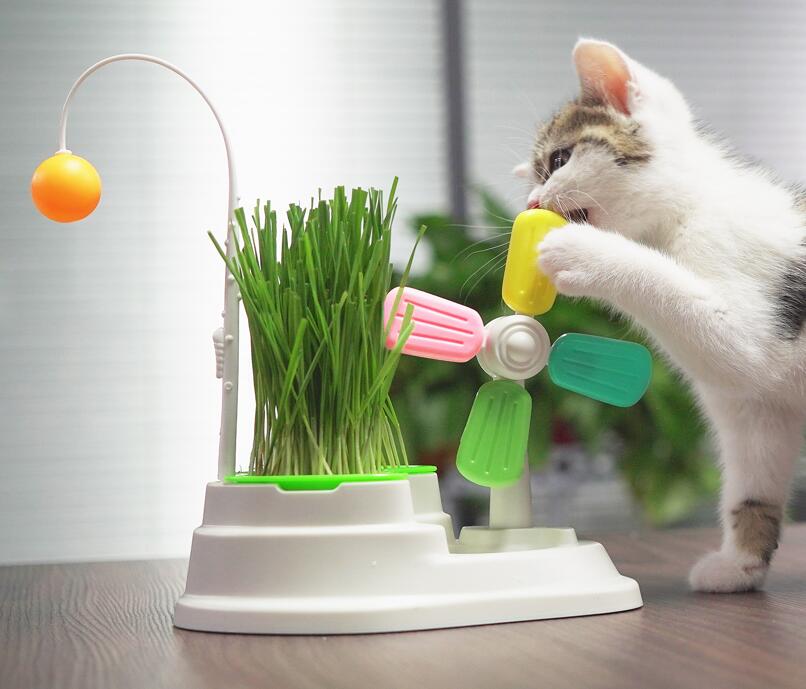Cat Interactive Toy