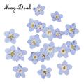 20pcs Artificial Forget-me-not Flowers Simulation Pressed Dried Flowers Embellishments for Art DIY Craft Jewelry Card Making