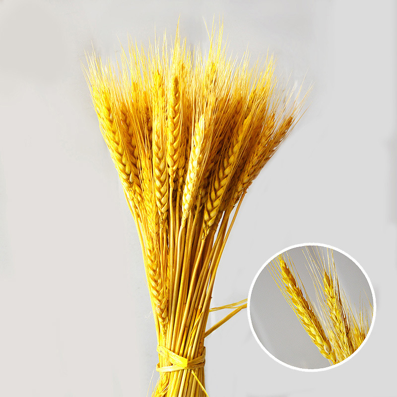 100Pcs/lot Real Wheat Ear Flower Natural Dried Flowers For Wedding Party Decoration DIY Craft Scrapbook Home Decor Wheat Bouquet