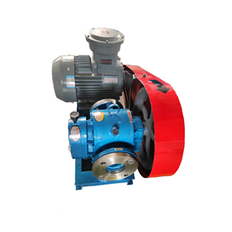 Roots Oil Pump High Viscosity Liquid Transfer Pump Insulated Rotor Pump Belt Connection6
