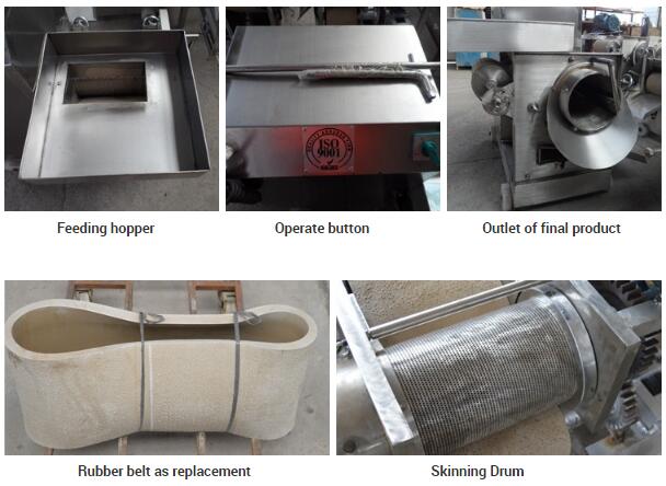 Fish Separator Machine