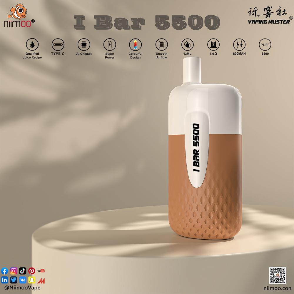 Disposable E-cigarette 5500 Puffs