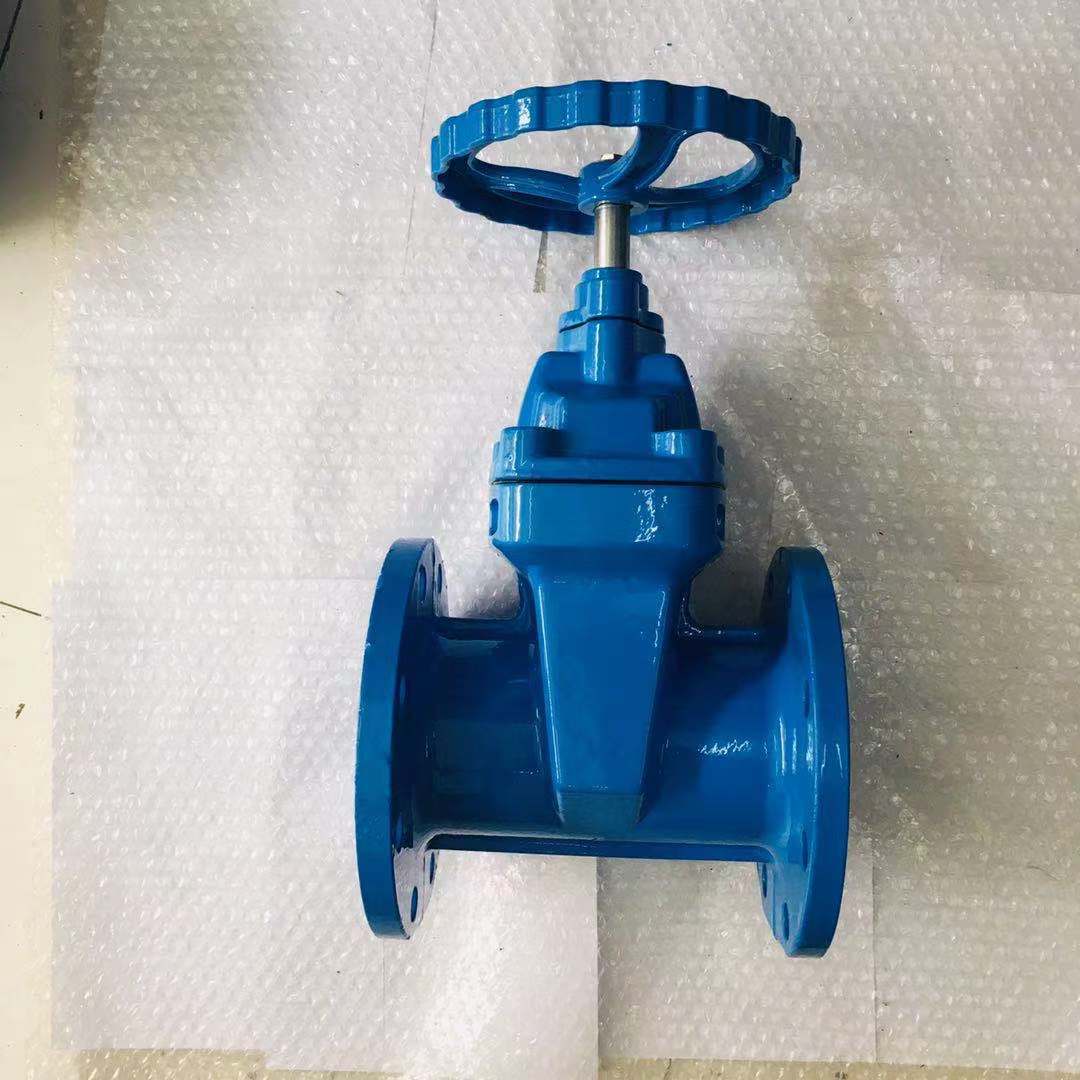 Soft seal blind rod gate valve (1)