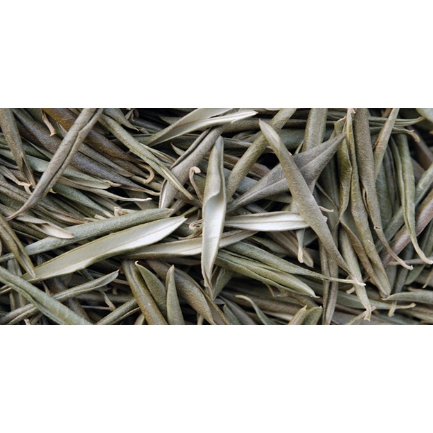 Olive leaf Natural dried tea herb 50 gr-400 gr Free Shipping