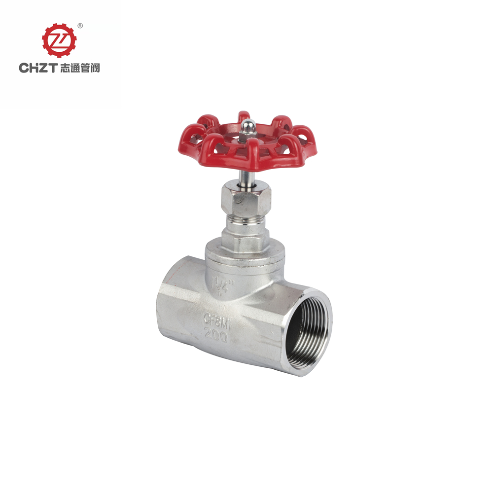 Globe valve 2