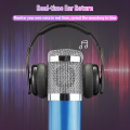 BM800 Microphone Condenser PRO Audio Mixer Live Sound Card Bluetooth USB 15 Sound Mode DSP Multiple Sound Effects 5.1Channel