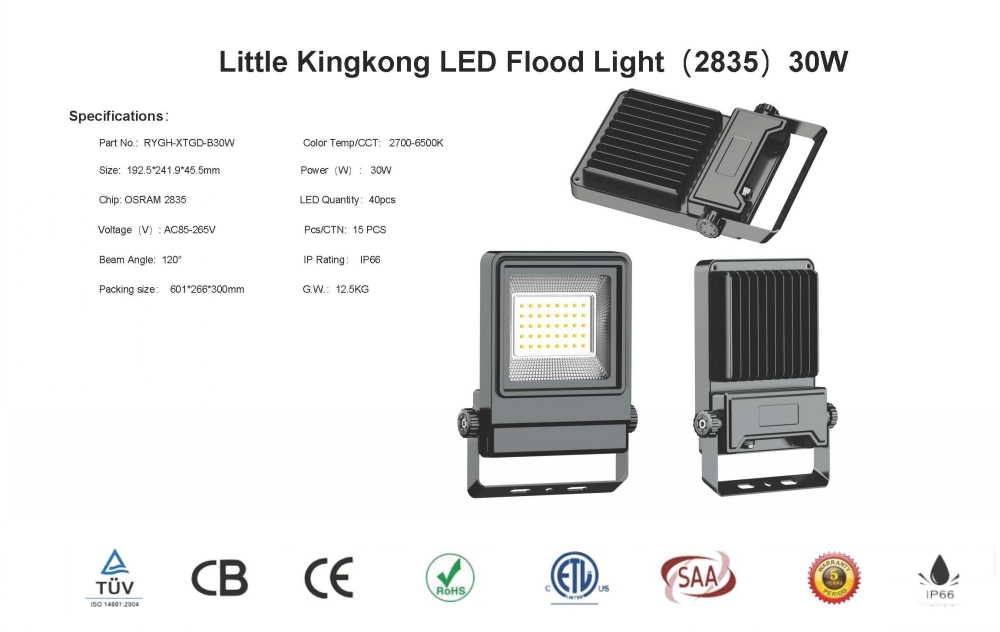led flood light specifications-RYGH-20213