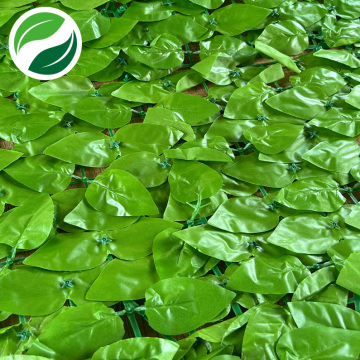 Artificial simulation green plant light peach leaf