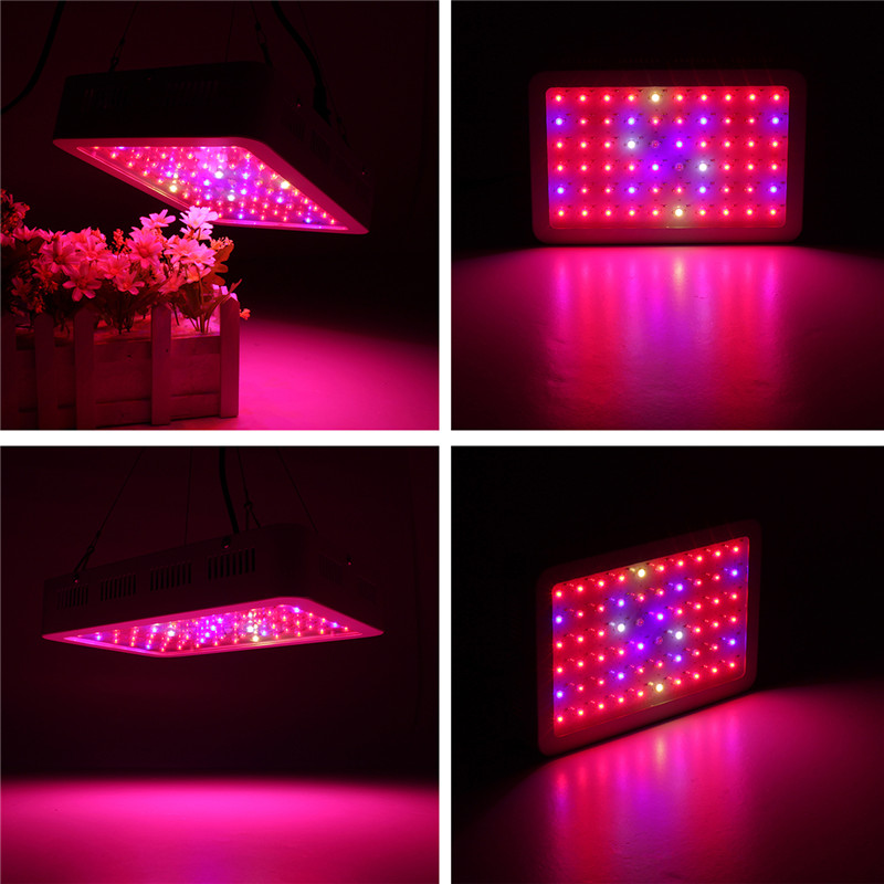 Full Spectrum LED Grow Lights 1000W AC85-265V Phytolamp for Indoor Plants Seed Flower Seedling Cultivation Grow Tent Phyto Lamp