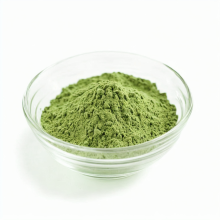 Celery Extract Powder of Celery Extract Powder