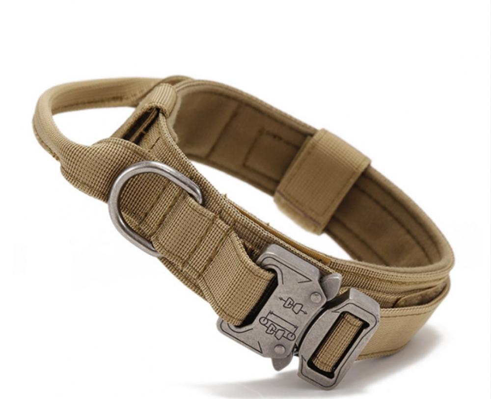 Best Tactical Dog Collar