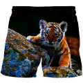 4-14 Years Summer Kids Boys shorts Children swim fashion Shorts Baby Boy 3D Tiger Print 2020 new sale