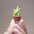 Miniature Mini Small Cactus Potted Plant Resin Candy Toy Model Ornaments Action Figures Toys for Children Kids Doll Home Decor