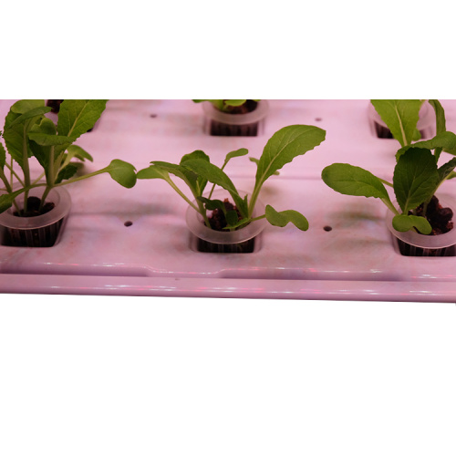 Indoor Hydroponic Lighting Growing Gardening Systems Manufacturers and Indoor Hydroponic Lighting Growing Gardening Systems Suppliers