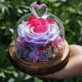 NEW Forever Rose Flower Fresh Festive Preserved Immortal in Glass Creative Gift card holder flores wedding dried