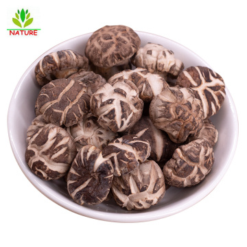 Shiitake Mushrooms Dried & Cut, Grade AAA Premium Quality