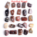 25pcs Petrified Wood