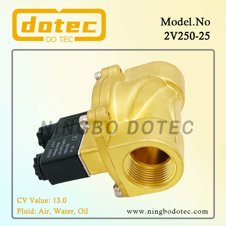 2V250-25 1'' Diaphragm Piloted Brass Solenoid Valve 220VAC