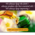 Dimollaure Natural organic virgin Jojoba essential oil Base oil body massage oil Skin Hair care SPA aromatherapy carrier oil