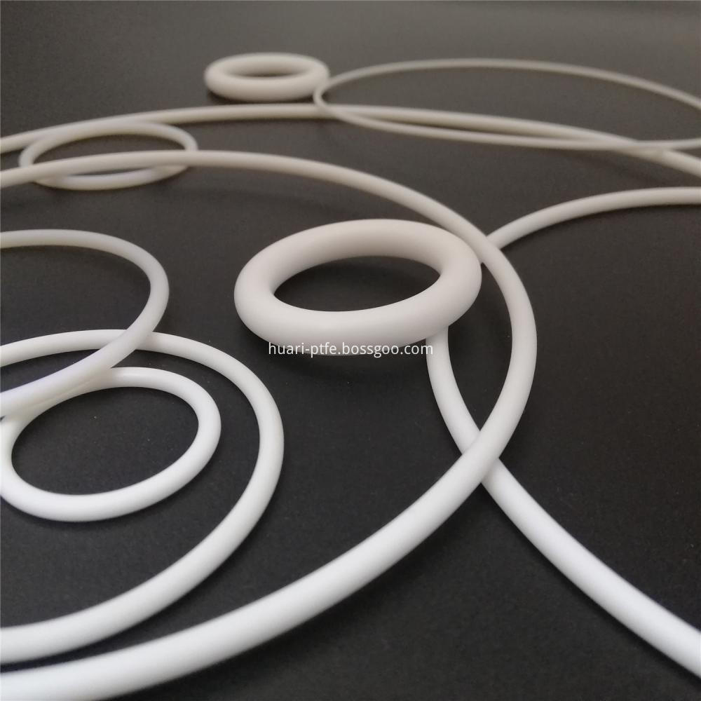 Ptfe O Ring 20