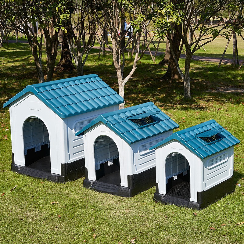 Dog House
