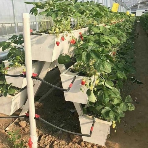 NFT Hydroponic Growing Gully for Greenhouse Manufacturers and NFT Hydroponic Growing Gully for Greenhouse Suppliers