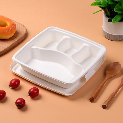 Suppliers for 100% Compostable Sugarcane pulp Lunch Box