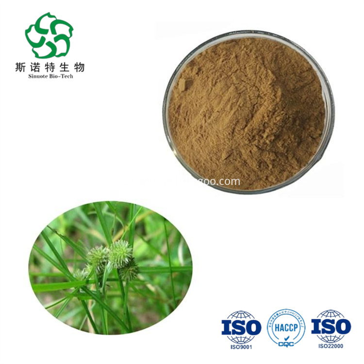 Cyperus Rotundus Root Extract