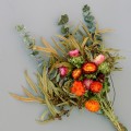 Wheat Rabbit Tail Grass Dried Flower Bouquet DIY Perpetual Flores Preservadas Room Gradient Lagurus Ovatus Wedding Home Decor