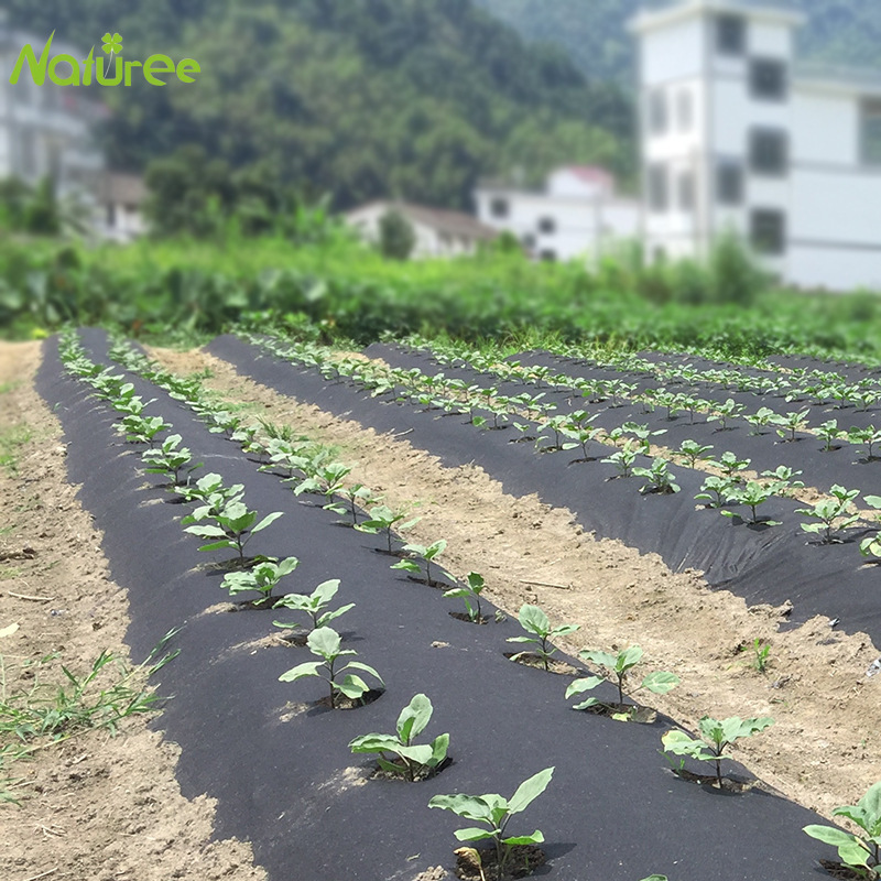 50cm*10m PP Geotextile Anti-aging Gardening Fabric Weed-proof Cloth Weeding Cloth Black Sun-proof Cloth 60g